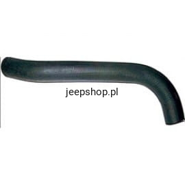 10356651.jpg