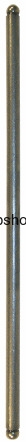 10707954.jpg