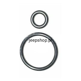 Fuel Injector Seal Kit    4504348 Commander