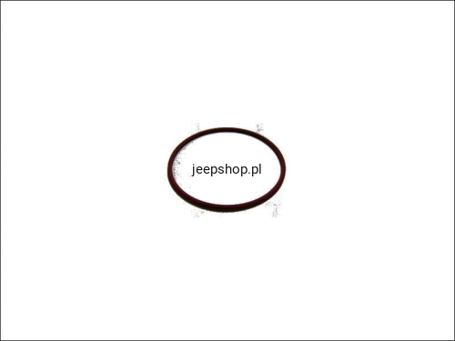 11491562.jpg