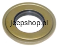 8216132.jpg