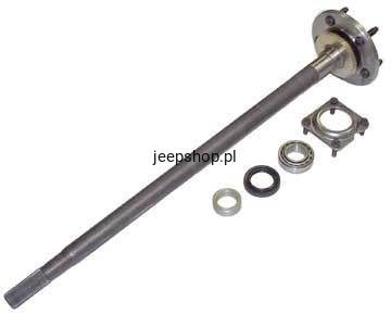 8445671.jpg