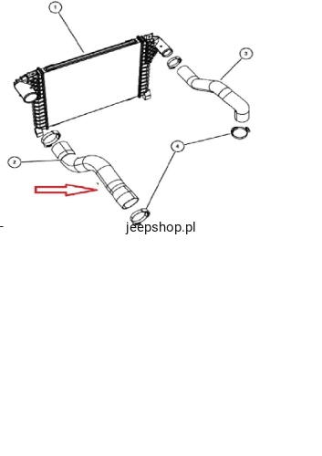 55037790Ac- rys.jpg