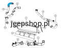 4891697 rys.png