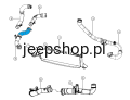 4891698rys.png