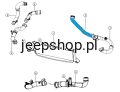 4891705 rys.png
