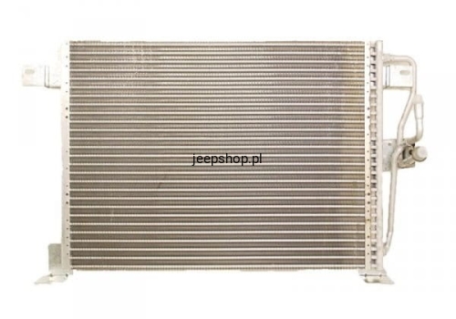 55036473.jpg