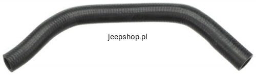 55038121.jpg