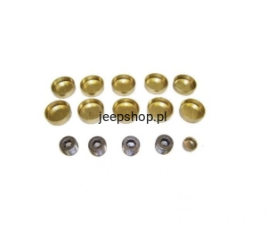 Expansion Plug FPS1100