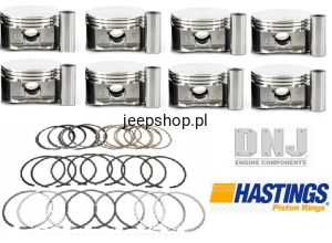 TŁOKI SILNIKA Z PIERŚCIENIAMI P1100 +PR1100