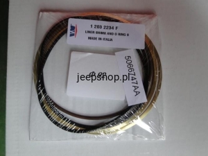 ZESTAW ORINGÓW (GRUBE) I PRZEKŁADEK TULEI CYLINDRYCZNEJ 5066747AA TOWN & COUNTRY (RT)  Liberty / Cheerokee (KJ)