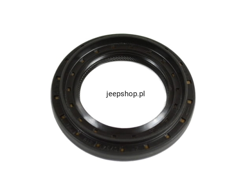 68084189AA.JPG