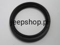 68084194AA.JPG