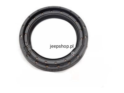 68084192AA.jpg
