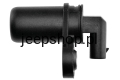 ecp-ch-025_3.jpg