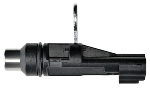 ecp-ch-004_3.jpg
