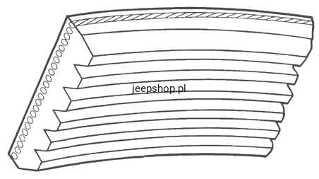 3347296.jpg