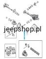 9010381.jpg