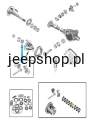 9022908.jpg