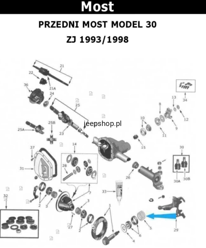 9521922.jpg
