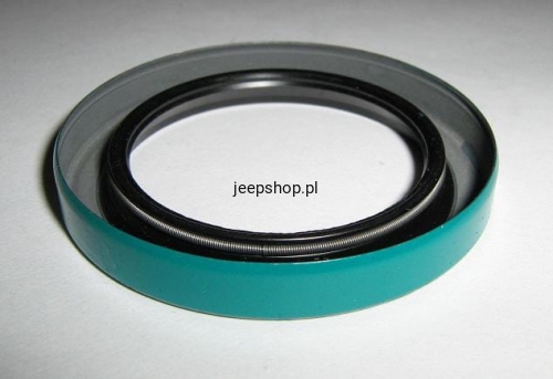 9930809.jpg