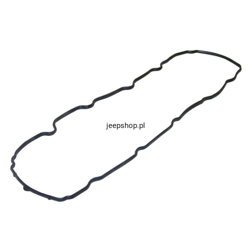 53020877.jpg